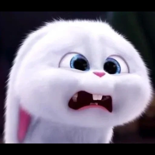 cartoon, rabbit snowball, the secret life of pets, the secret life of snowball pets, the secret life of pet rabbit snowball