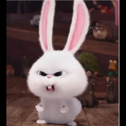 conejo, conejo malvado, bola de nieve de conejo, conejo divertido, estética de conejo negro