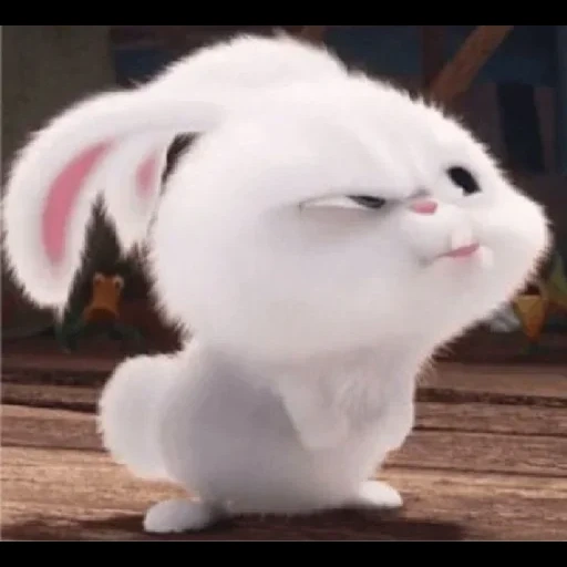 cat, kartonmood, rabbit snowball, the secret life of pet rabbit snowball, the secret life of pet rabbit snowball