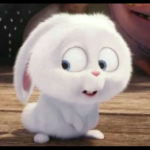 snowball di coniglio, snowball l'ultima vita degli animali domestici, little life of pets rabbit, ultima vita di animali domestici snowball, ultima vita di animali domestici snowball