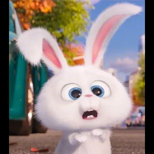 bunny zoobe, snowball di coniglio, il coniglio è dolce, cartone animato di palle di neve di coniglio, la vita segreta degli animali domestici