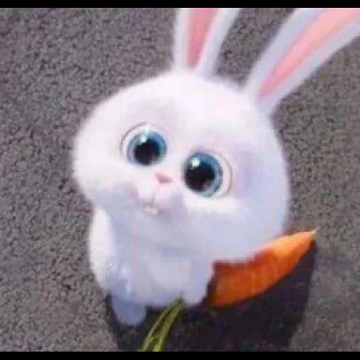 hase, fragt bunny, hase des cartoon secret life, cartoon bunny secret life, kleines leben von haustieren kaninchen