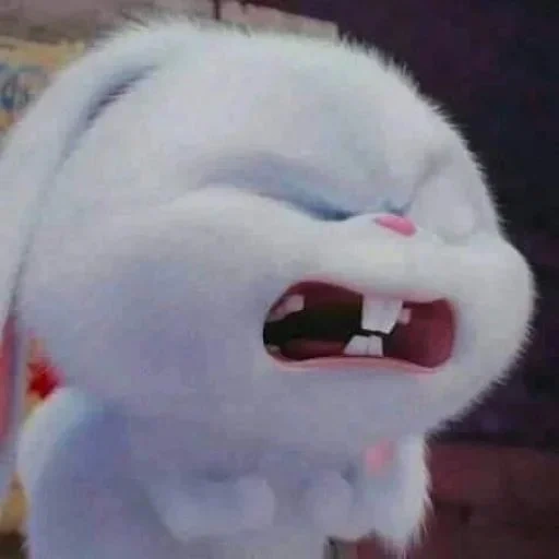 jouets, boule de neige de lapin, saisissez une requête, fun lapin, lapin boule de neige vie secrète animal de compagnie 1