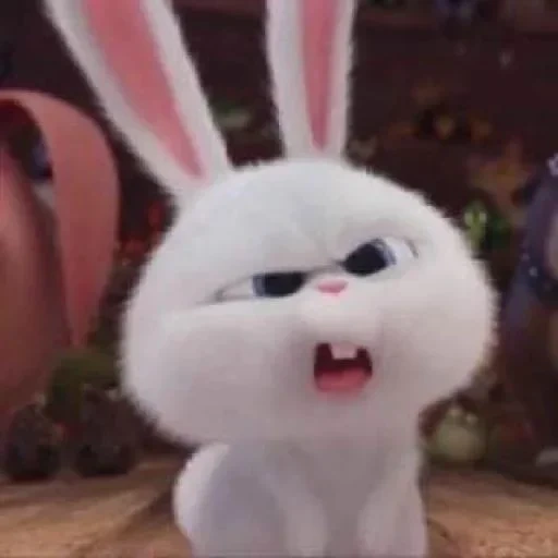 mauvais lapin, boule de neige de lapin, mauvais lapin 4k, lapin de compagnie de la vie secrète, la vie secrète du lapin de compagnie