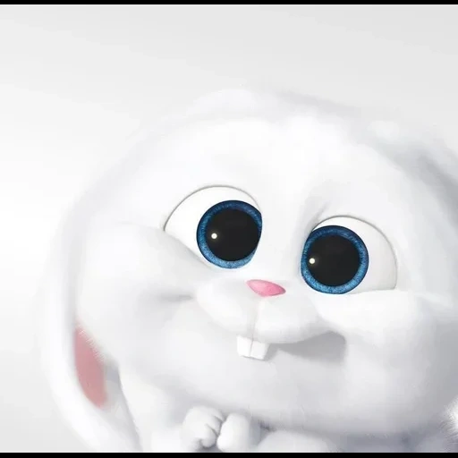 bola de nieve de conejo, vida secreta del conejo mascota, rabbit snow ball secret life home 2, vida secreta de bola de nieve de conejo mascota, vida secreta de bola de nieve de conejo mascota