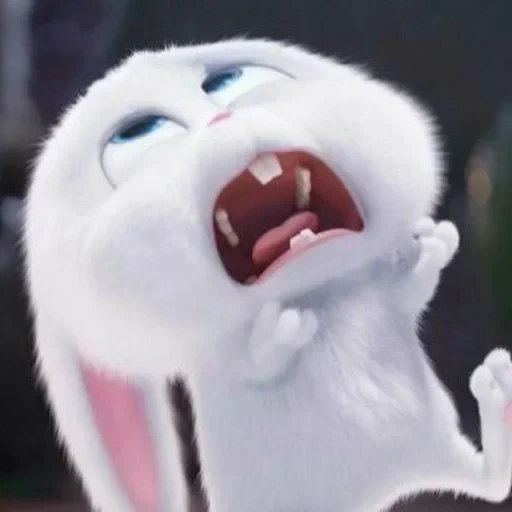kaninchen schneeball, geben sie die anfrage ein, lustige kaninchen, schneeball cartoon, das geheime leben der haustiere