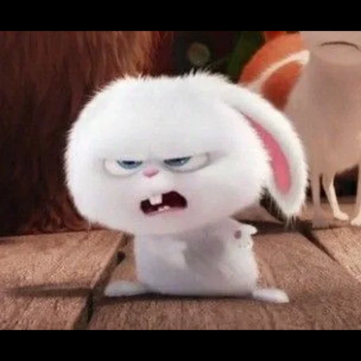 rabbit snowball, evil furry, rabbit snowball cry, the secret life of snowball pets, secret life of rabbits cute pets