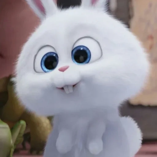 snowball rabbit, the secret life of pet rabbit, the secret life of pet rabbit, rabbit snowball secret living household 2, the secret life of pet rabbit snowball