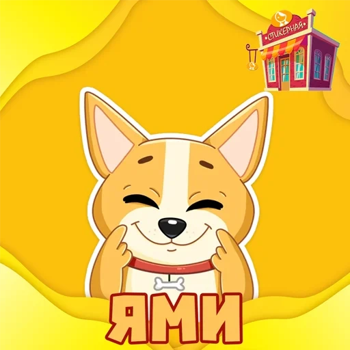 yami, yami, corgi, siba inu, shiba inu