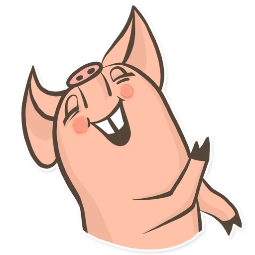 chunya, cochon, le visage du cochon