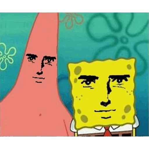 spugna bob, meme spongebob spongebob, faccia di spongebob, meme faccia spongebob, pantaloni spongebob square