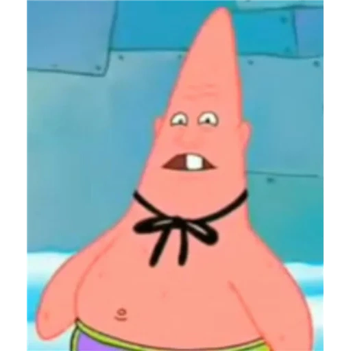 patrick, garçon, bob patrick, star de patrick, sponge bob patrick