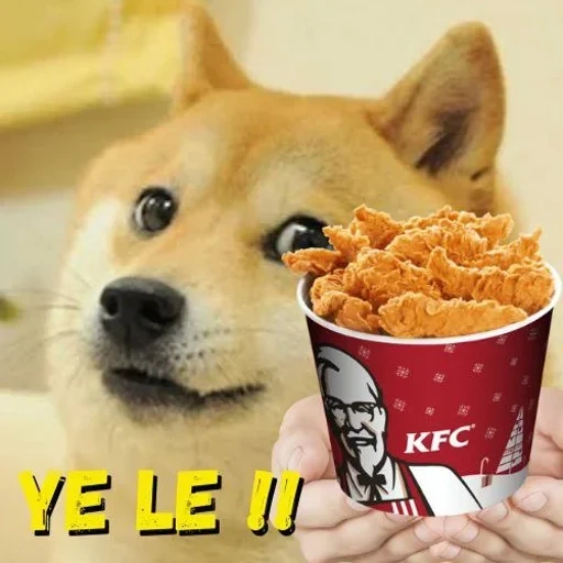 doge meme, bucket di kfc, doge meme, una banca con un cane con un cane, secchio di pollo kfs