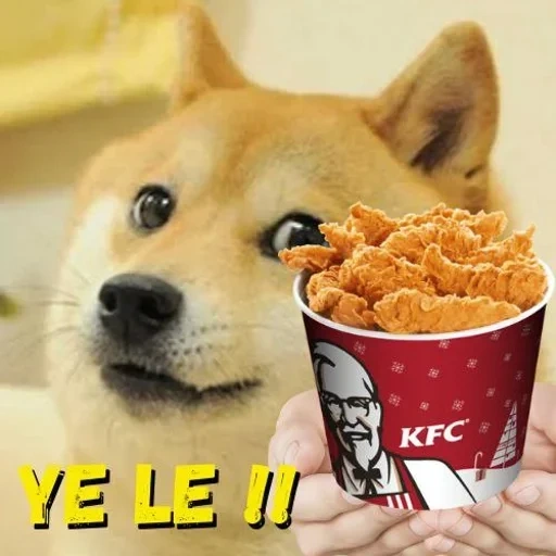 doge meme, eimer kfc, doge meme, eine bank mit einem hund mit einem hund, eimer kfs huhn