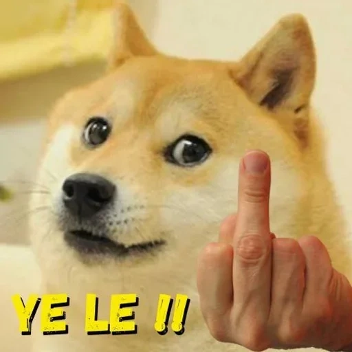 doge, cão de madeira, motivo de cão, cão meme, cachorro