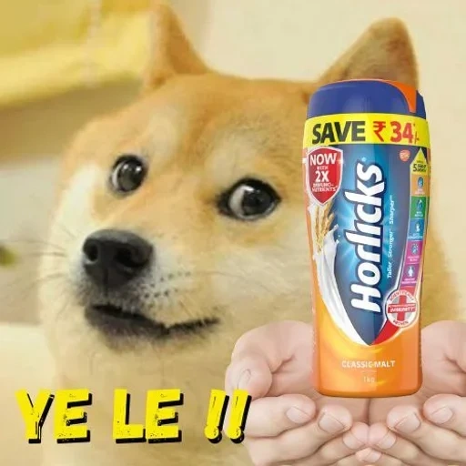 doge meme, doge skin, doge memes, rainbow doge, doge smart meme