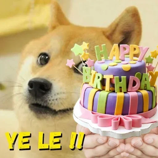 doge, doge meme, chien, le roi des chiens, collage de gâteau d'anniversaire