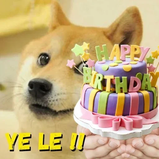 doge, doge meme, doge dog, doge king, kuchencollage geburtstag