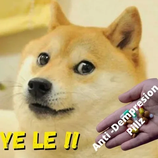 doge, mème de chien, shiba inu, beaucoup de chiens, wow mème de chien