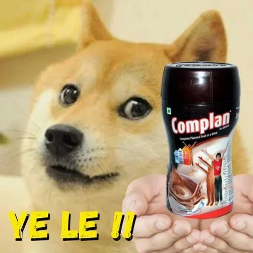 chaidou, shiba inu, doge meme, beaucoup de chiens, mème intelligent de chien