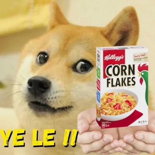 doge, doge meme, cane meme, un sacco di doge, doge sovrani