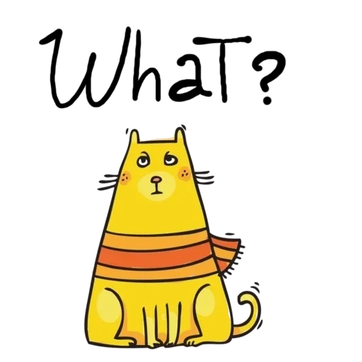 chat, chat, chat jaune, chats jaunes