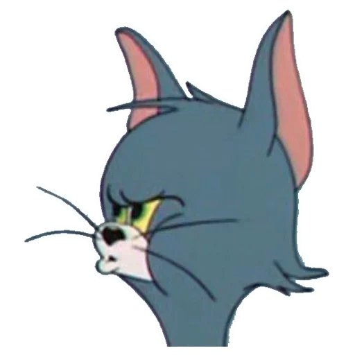 gatto, tom jerry, tom jerry cat, jerry tom jerry, square rolls tom jerry memes