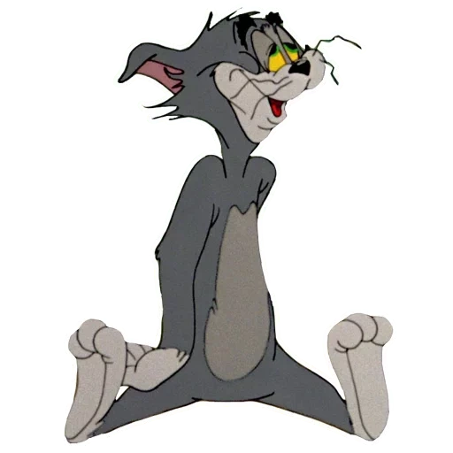 tom jerry, tom jerry cat, tom tom jerry, tom jerry hero