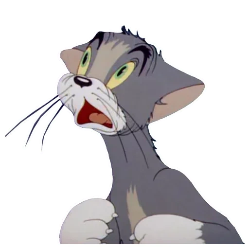 tom jerry, gato tom tom jerry, volume astuto jerry, tom jerry cat trushka