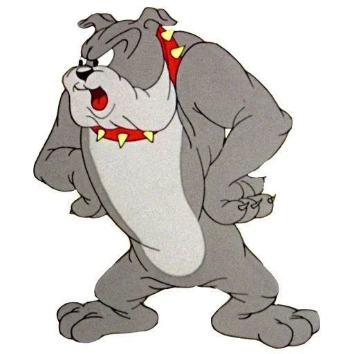 tom jerry, spike tom jerry, bulldog tom jerry, le chien de tom jerry