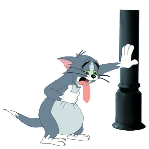 tom jerry, tom jerry cat, tom jerry figaro, tom jerry tom gun, tom dessins animés tom jerry