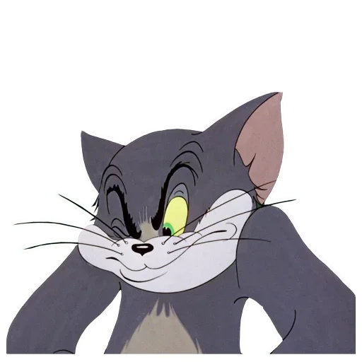 tom jerry, tom jerry cat, jerry tom jerry