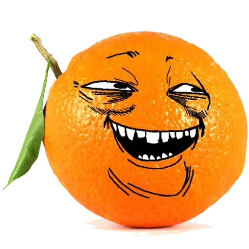 photo, funny orange, stubborn orange, photos of friends, orange mandarin