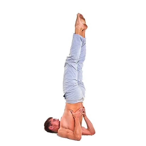 yoga, joga pose, yoga asanas, sarwangasana, salamba sarwangasana
