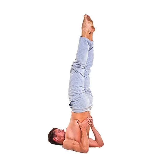 yoga, postur yoga, postur yoga, sarwangasana, salamba sarwangasana