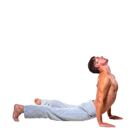 die haltung, chris poser, yoga posen, yoga men, seal yoga haltung