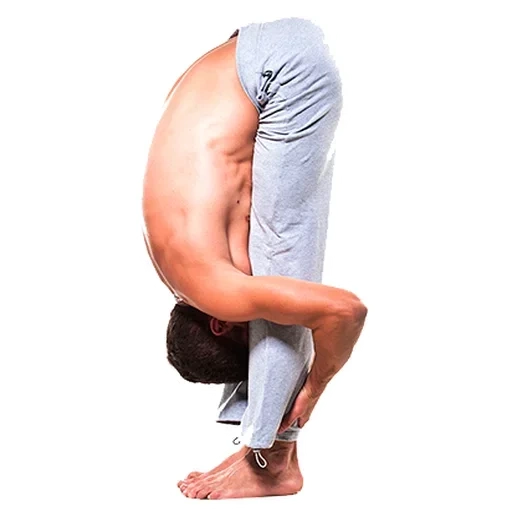 yoga, mec, yoga asanas, yoga asana, padahastasana