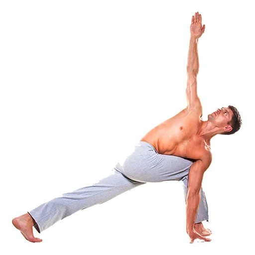 die haltung, yoga, emoticon, jean claude van dam stretching