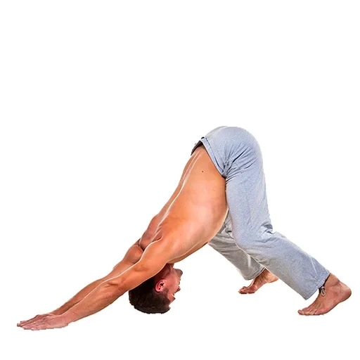la postura, yoga, posizione di yoga, posizione di yoga, posizione di yoga del cavallo