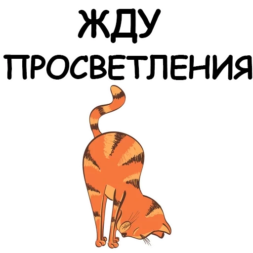 кот, йога, йога е, весы yoga cats