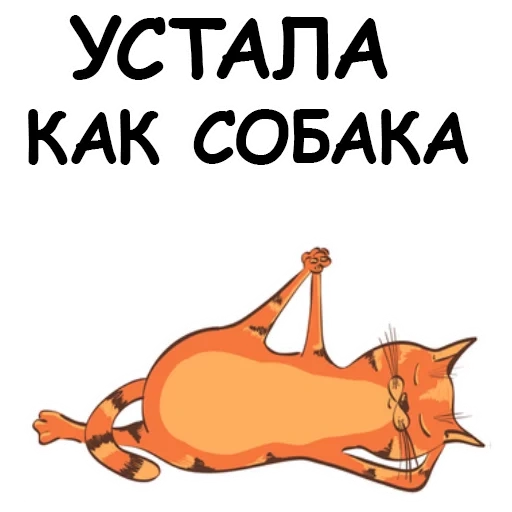 кот, йога е, коты йоги, весы yoga cats, весы scarlett sc-bs33e077