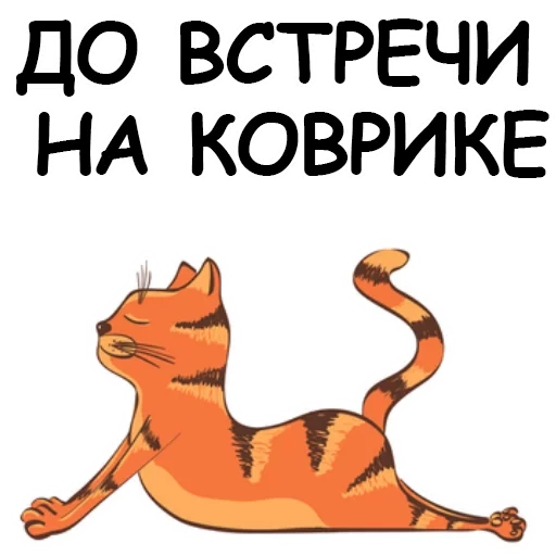 кот, йога, йога е, кошка йога вектор