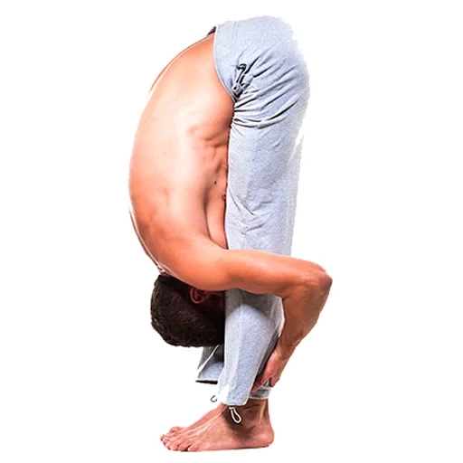 le pose di yoga, le pose di yoga, posizione lunga yoga, pada hastasana, posizione di utana sana
