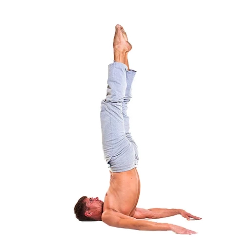 yoga, yoga posture, yoga asana, salwan gassana, salamba salwangasana