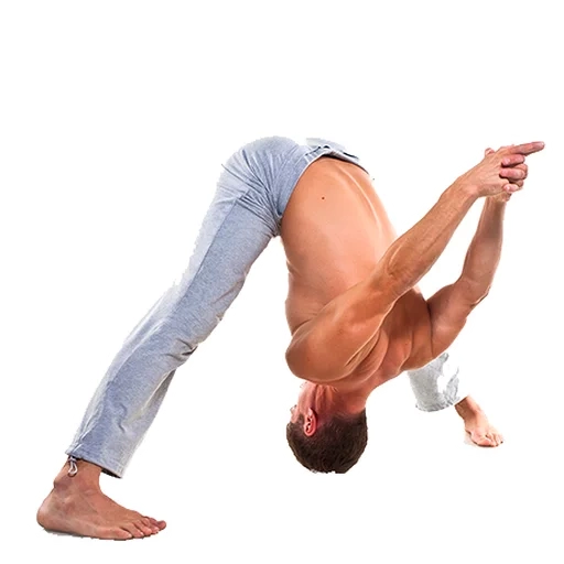 die haltung, yoga posen, yoga posen