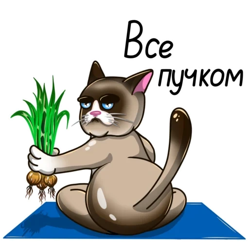 кот, коты, котик, унылый кот, радуюсь лету грустный кот