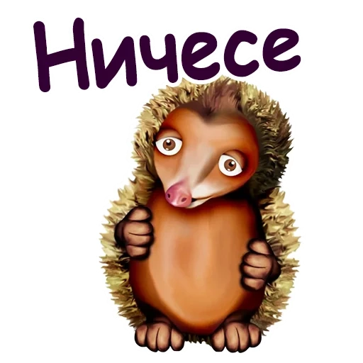 hedgehog, hedgehogs are cute, cartoon hedgehog-12, animated hedgehog