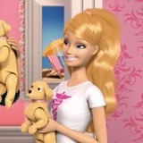 Barbie live in the dreamhouse