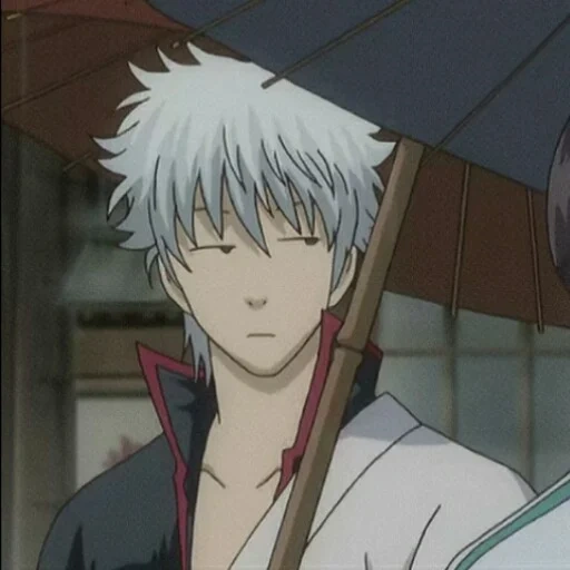 gintama, гинтама кот, аниме гинтама, гинтама ярости, саката гинтоки