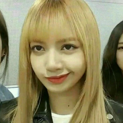 rosa nero, volpe rosa nera, lalisa manoban, blackpink lisa, lalisa manoban memes